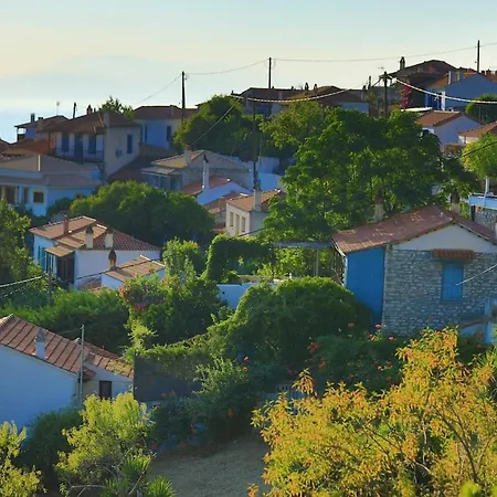 Olive Casa vacanze *