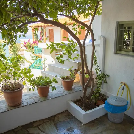 Olive Casa vacanze